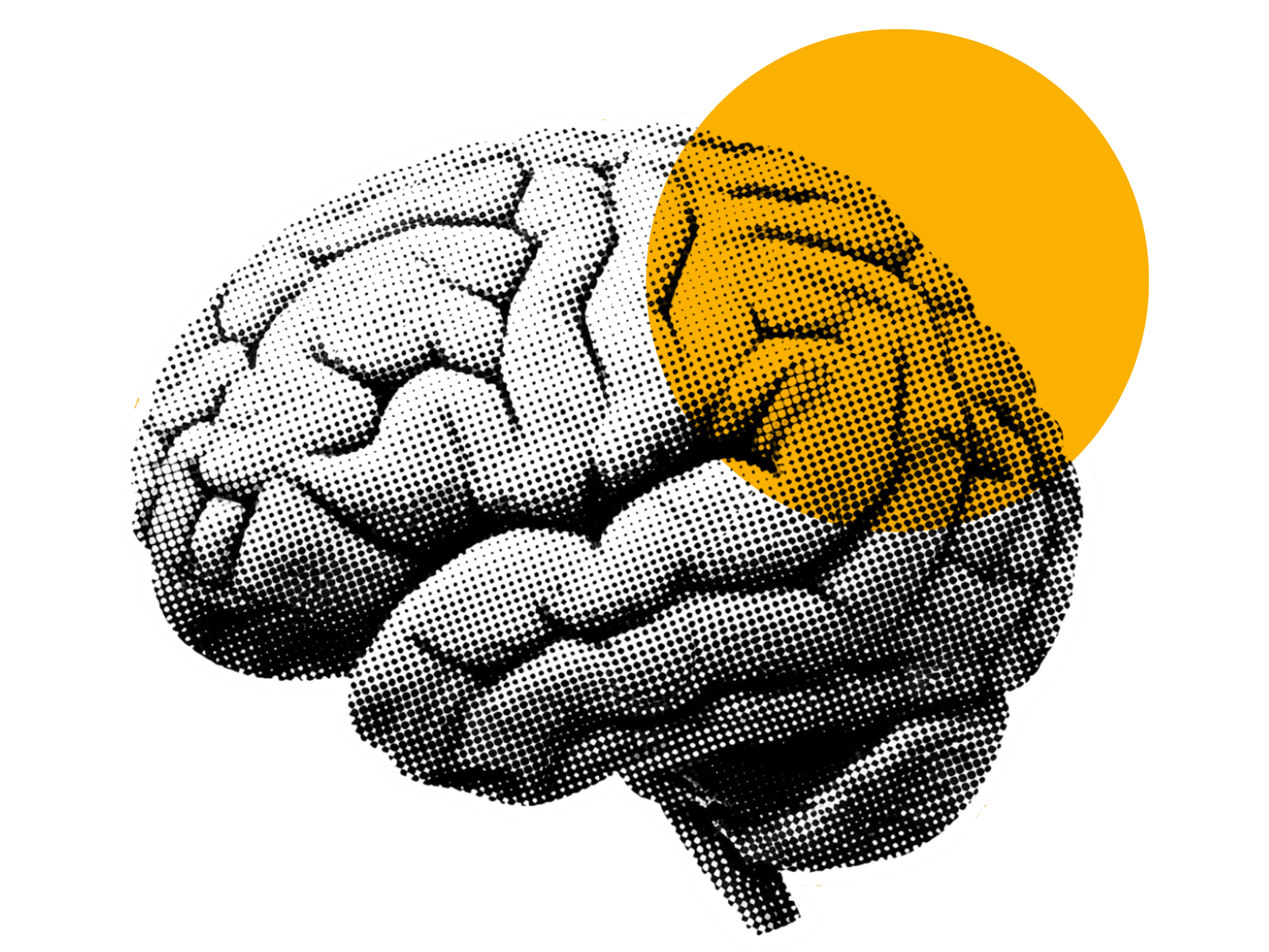 Lock in and unlock your potential nootropic pouches mint, mango, bubalicious watermelon, cinnamon. Alpha GPC